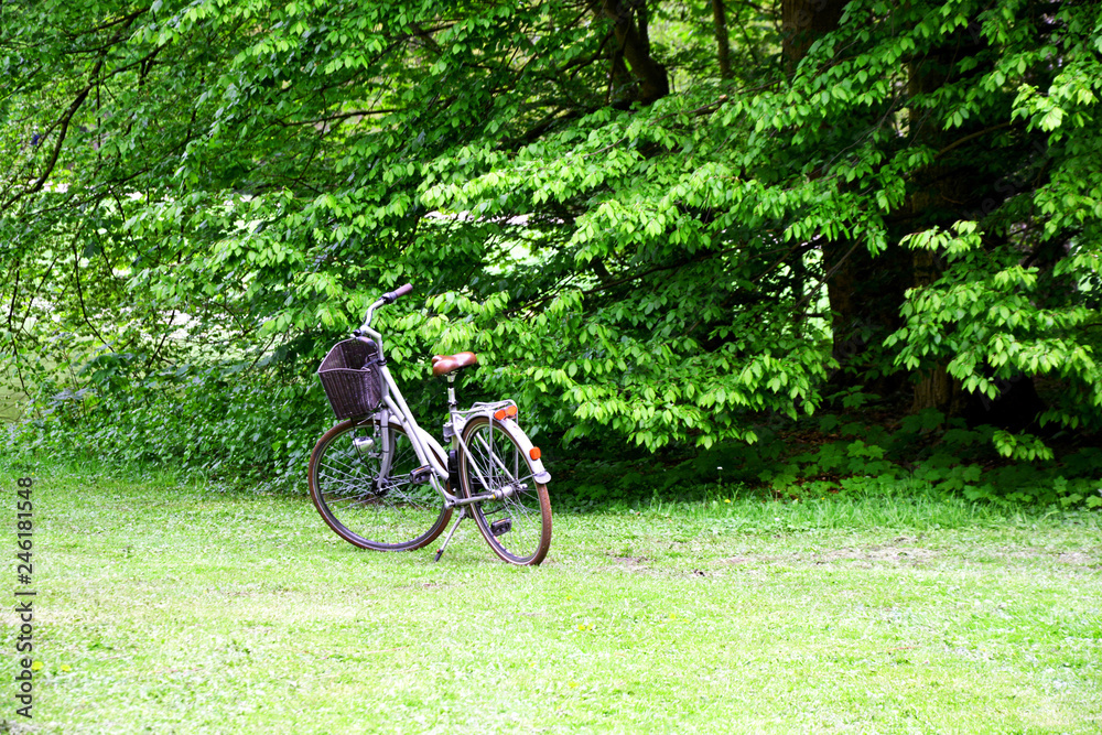 Einsames Fahrrad im Park