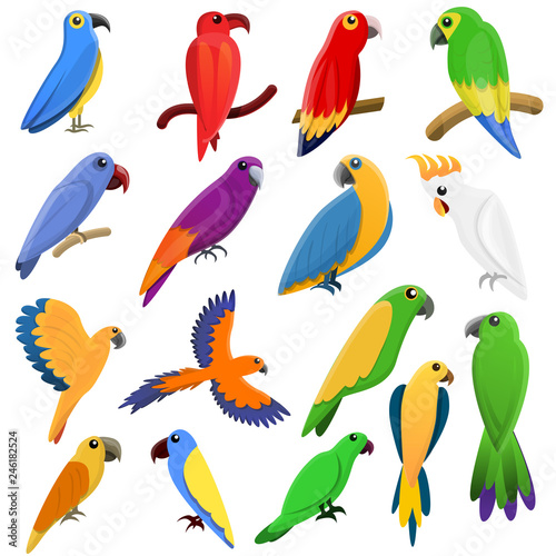 Parrot icons set. Cartoon set of parrot vector icons for web design