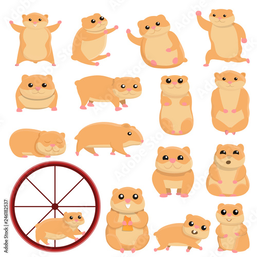 Hamster icons set. Cartoon set of hamster vector icons for web design