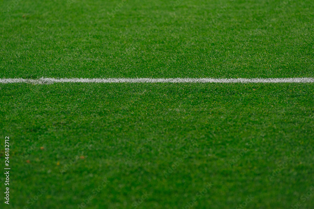Obraz premium football field close up to the lines