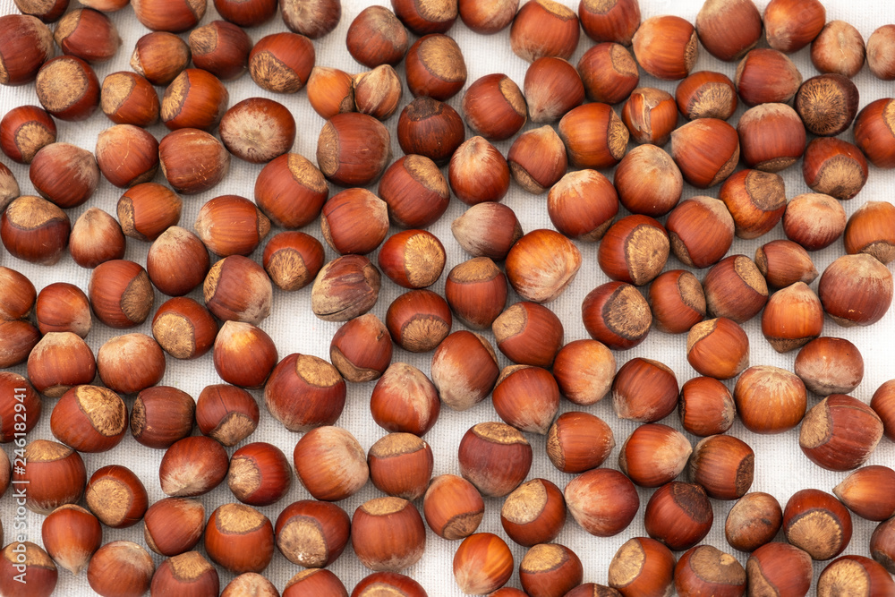 brown hazelnuts laid out throughout the frame. brown hazelnuts laid out throughout the frame.