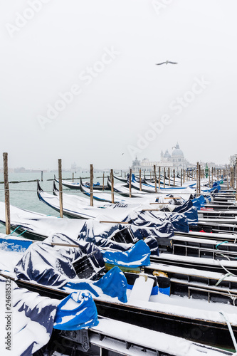 Nevicata a Venezia photo