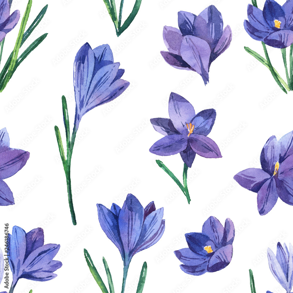 Fototapeta premium Seamless pattern with watercolor crocuses. Spring bright flowers. Seamless background.