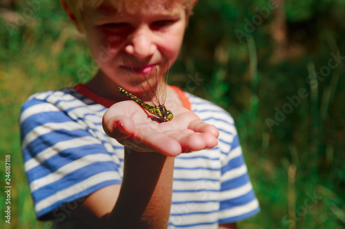 kids learning insects - little boy holding dragonfly