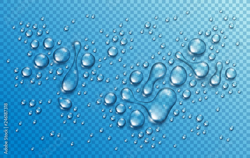Water rain drops or condensation in shower realistic transparent 3d vector composition over transparency checker grid, easy to put over any background or use droplets separately.