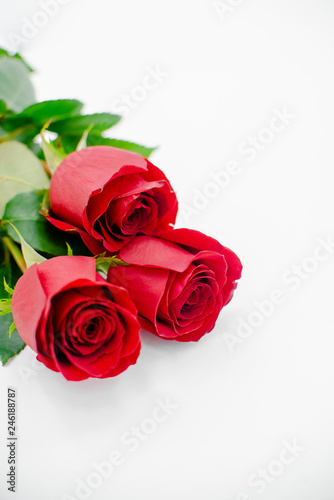 Flowers composition made of rose flowers on white background. Flat lay  top view  copy space . Horizontal view  several objects