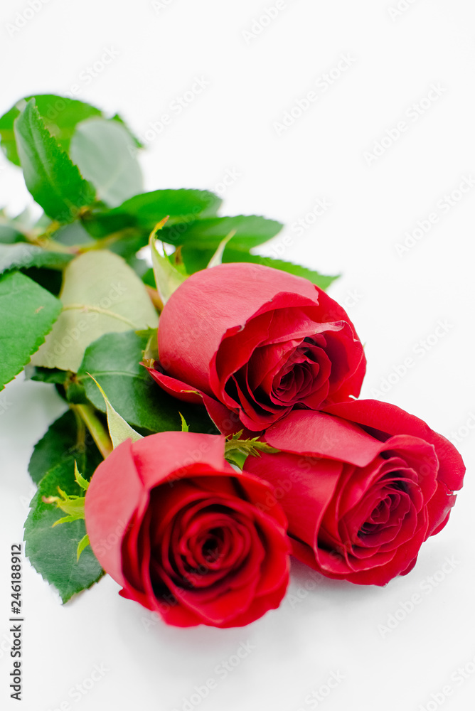 Flowers composition made of rose flowers on white background. Flat lay, top view, copy space . Horizontal view, several objects Flowers composition made of rose flowers on white background. Flat lay, top view, copy space . Horizontal view, several objects