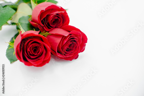 Flowers composition made of rose flowers on white background. Flat lay  top view  copy space . Horizontal view  several objects