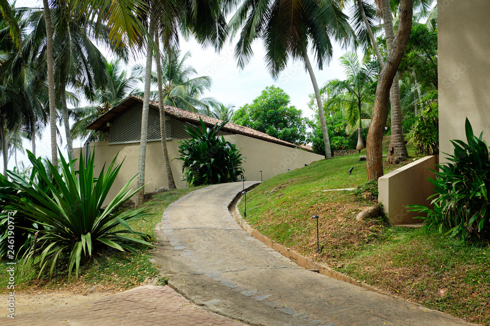 Fototapeta premium Exotic Dwelling Resort Hotel House Summer Vacation