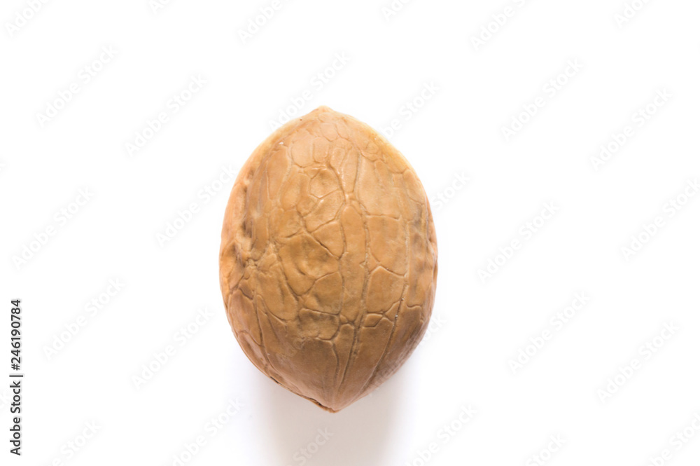 inshell walnut on white background isolated inshell walnut on white background isolated