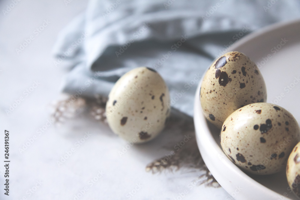 The quail eggs dish towel bird feathers The quail eggs dish towel bird feathers