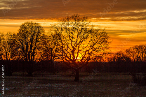 Sonnenuntergang am Sieglarer See bei Troisdorf