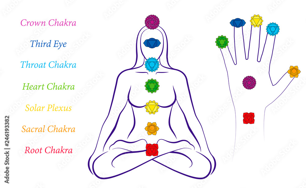 Ответы Mail.ru: Сложно ли устроен человек? Видимая часть - это биологическое тел