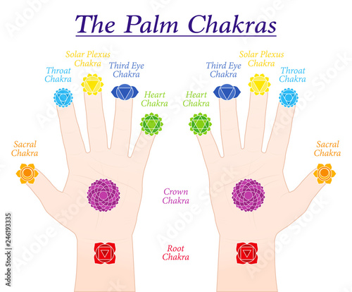 Palm chakras. Symbols and names of the main chakras at the corresponding parts of both hands. Isolated vector illustration on white background.
