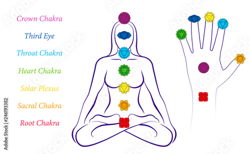 Body and hand chakras of a woman - Illustration of a meditating female in yoga position with the seven main chakras and their names.
