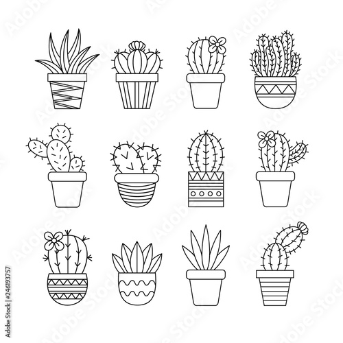 Cute cactus set, different types of cacti in patterned plant pots, vector illustrations, succulent isolated outlined icon collection.