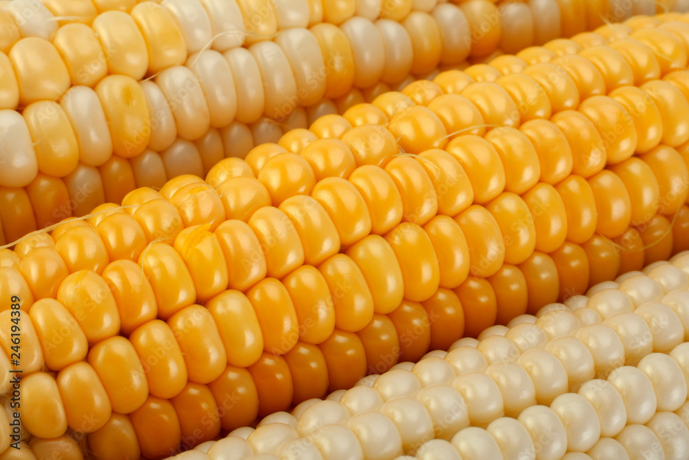 Corn vegatable closeup background Corn vegatable closeup background