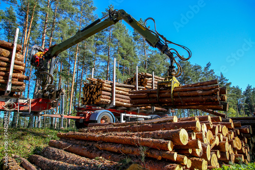 Crane loading logs in the truck.