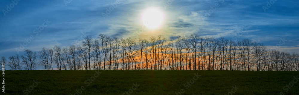 Sunrise Over a Fence Row with Trees Sunrise Over a Fence Row with Trees
