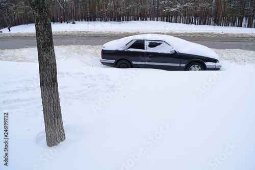 View of the tree and the car in the snow near the road in winter.