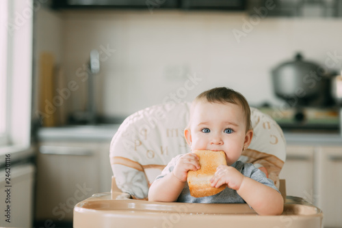 baby in the kitchen in the high chair there is a piece of bread
