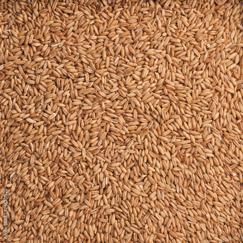 Organic peeled oats texture