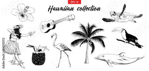 Vector engraved style illustration for logo, emblem, label or poster. Hand drawn sketch set of Hawaiian girl, ukulele guitar, etc. Isolated on white background. Detailed vintage doodle drawing.