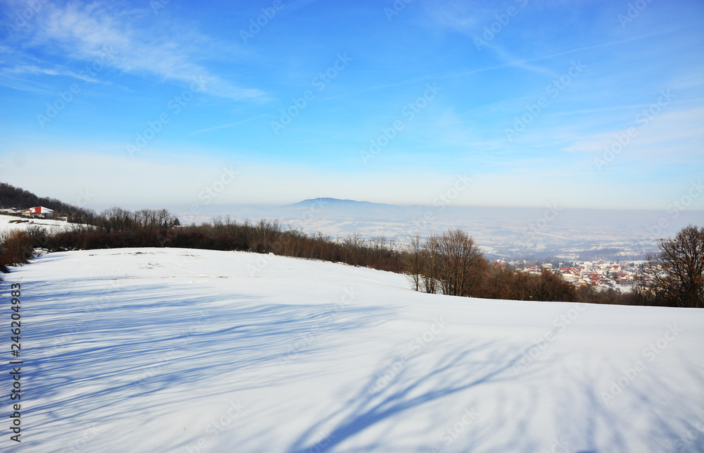 winter landscape with lake and trees