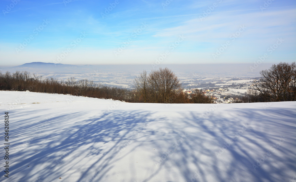 Obraz premium winter mountain landscape with snowy trees and blue sky