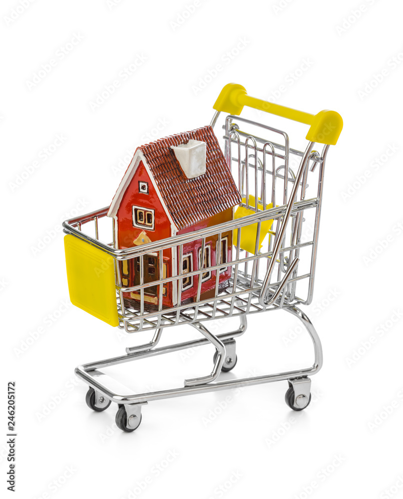Toy house in shopping cart Toy house in shopping cart