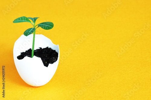 Green fragile tender sprout in eggshell as symbol of nascent life on bright yellow sunny background. Minimal Easter concept with copy space.