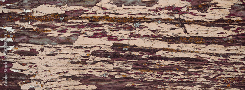 Embossed texture of the bark of oak. Panoramic photo of the oak texture.Long banner