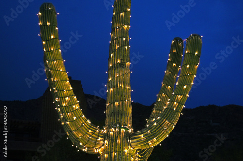 Saguaro cactus decorated with chain of lights in front of blue evening sky