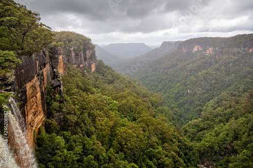 Fitzroy water falls thundering over rock face into forested canyon in Kangaroo Valley  NSW  Australia