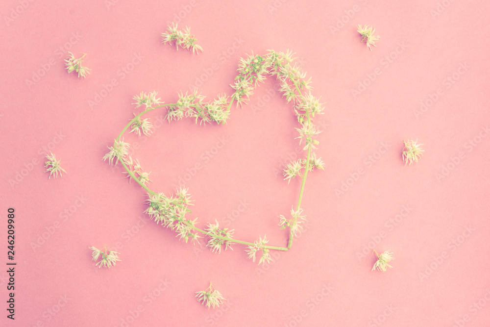 Frame heart made of fresh white flowers on pink background. Flat lay, top view, copy space.