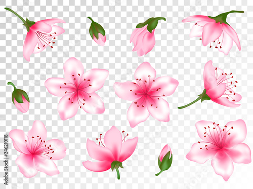 Spring flower tree blossom vector illustration set