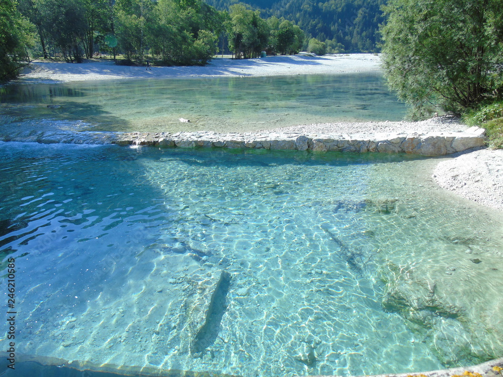 tropical swimming pool