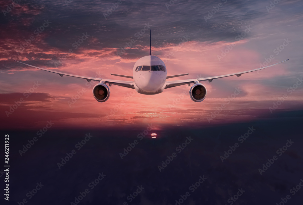 Fototapeta premium Jet aircraft in flight