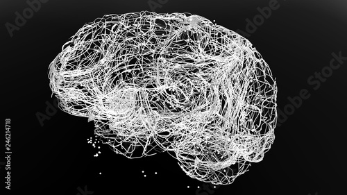 Brain neurons connections