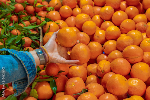 Taking oranges at the market. Many  fresh oranges. Juicy oranges.