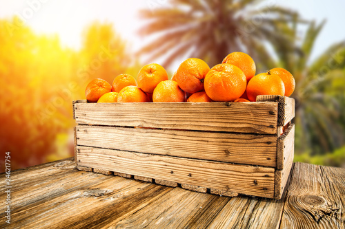 Juicy oranges on a wooden table in the hot Spanish sun   