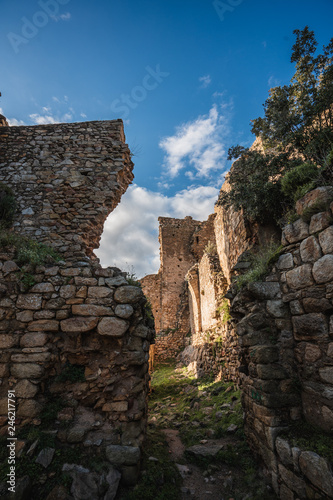 castillo de palafolls photo