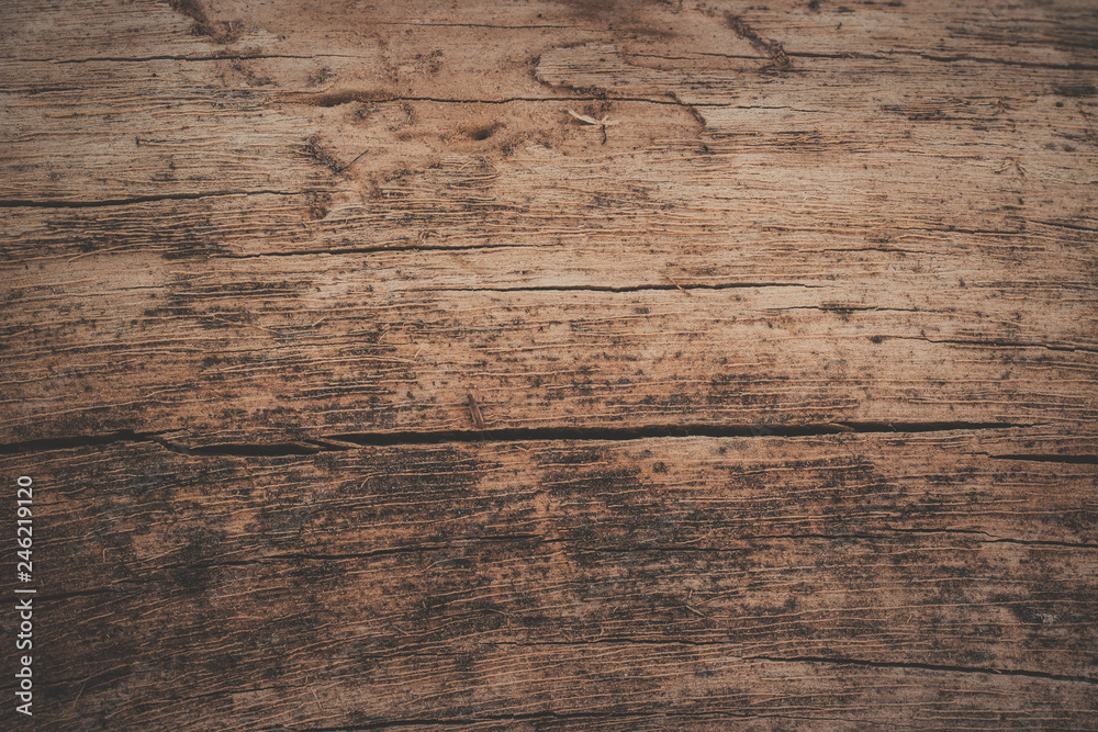 Fototapeta premium wood texture background
