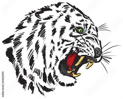 Fototapeta Naklejka Na Ścianę i Meble -  tiger vector illustration