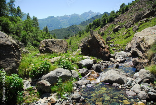 Clear and fresh waters flowing in alpine torrents of Aosta valley, Italy.