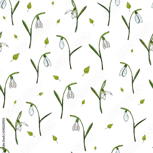 Vector seamless floral pattern of snowdrops and green leaves 