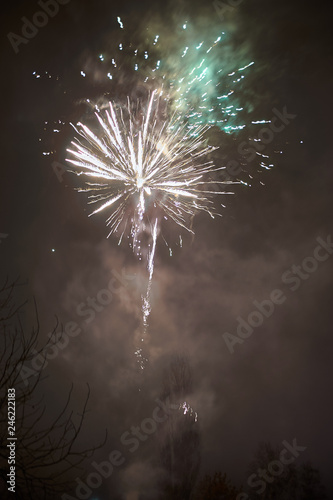 fireworks in the night sky