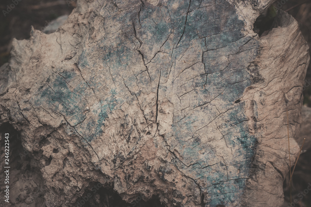 Obraz premium wood texture background