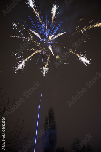 fireworks in the night sky
