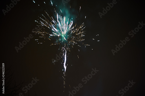fireworks in the night sky